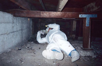 home inspector in crawl space